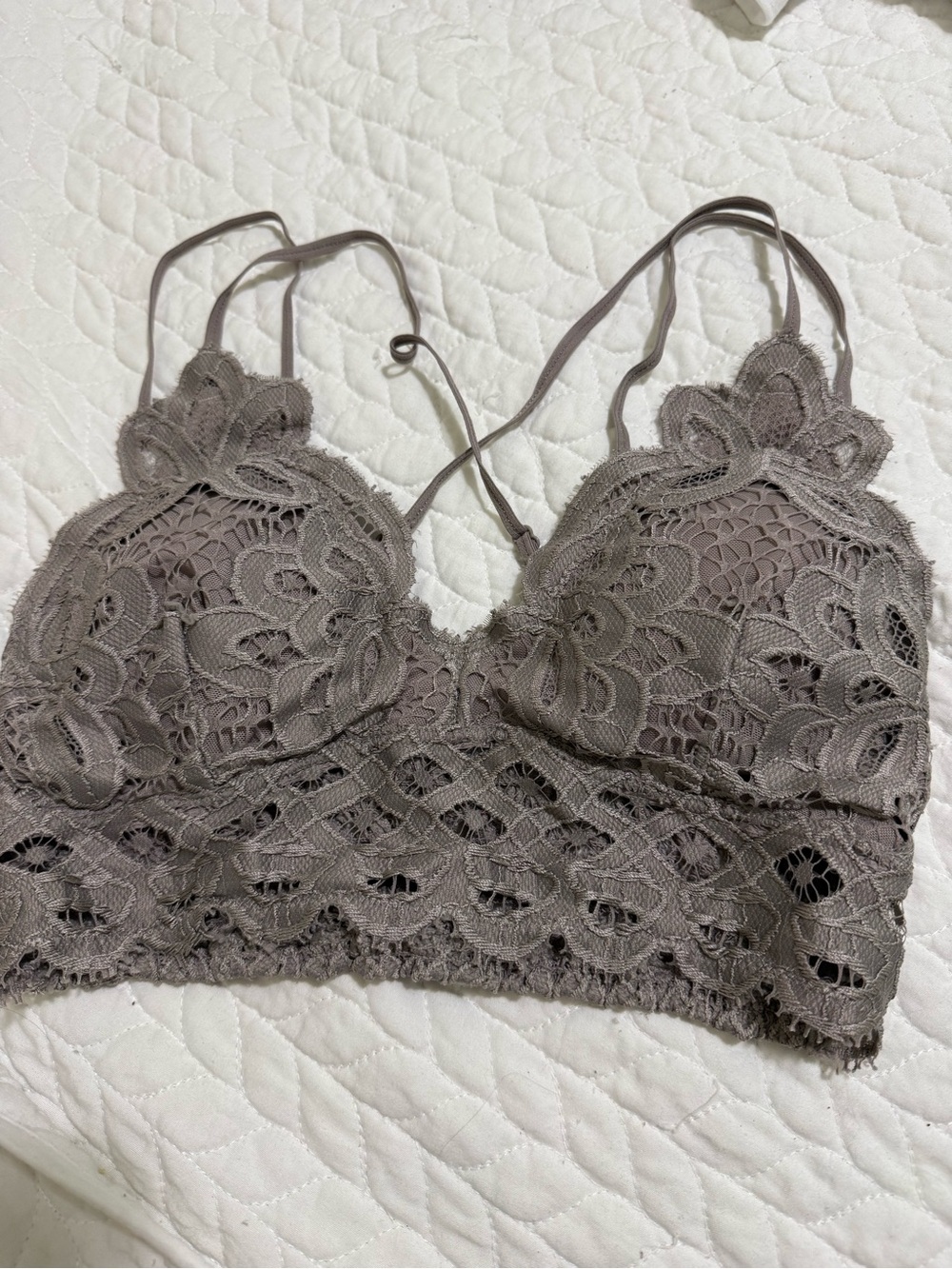 Anemone Lace Bandeau Bralette in Taupe